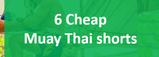 Cheap Muay Thai shorts