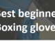 Best boxing gloves for beginners