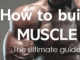 How to build muscle